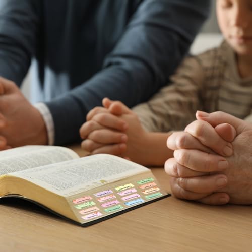 Modern Bible Tabs, 75 Tabs, Laminated Bible Index for Daily Use